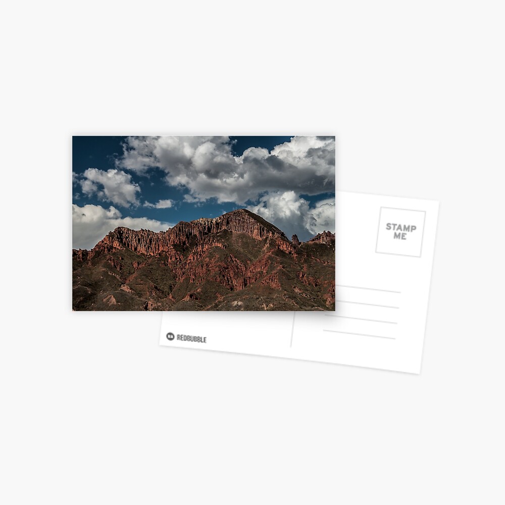 Untitled Postcard