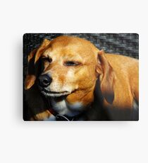 Tag Metal Print