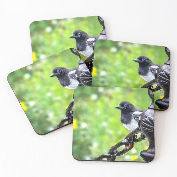 Item preview, Eurasian Magpie On a Chain designed and sold by JacobCPhotos.