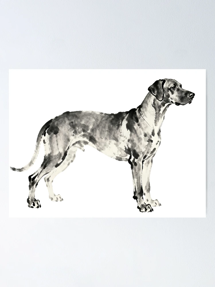 Thumbnail 1 of 3, Poster, Ink Drawing Art for Rhodesian Ridgeback designed and sold by forget45studio.