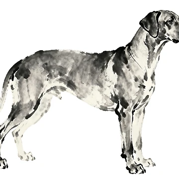 Artwork thumbnail, Ink Drawing Art for Rhodesian Ridgeback by forget45studio
