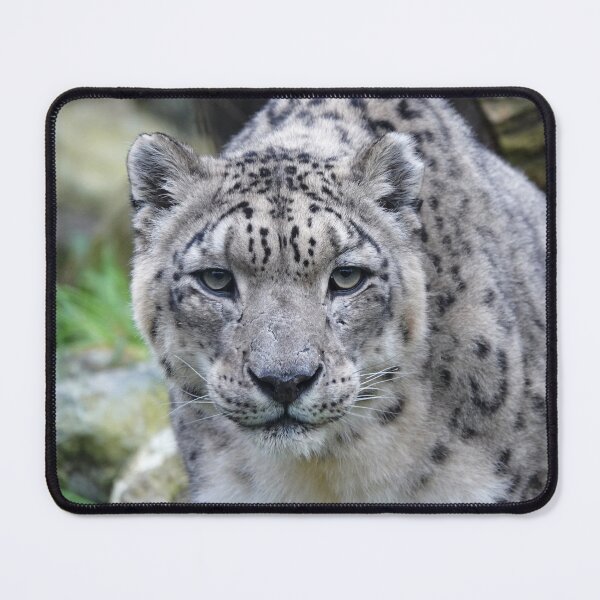 Item preview, Snow Leopard designed and sold by Portegiesje.