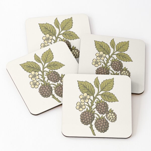 Item preview, Blackberry Cluster – Vintage Cottagecore Botanical Sticker designed and sold by HoopeStylee.
