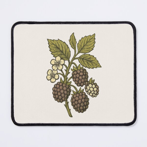 Item preview, Blackberry Cluster – Vintage Cottagecore Botanical Sticker designed and sold by HoopeStylee.