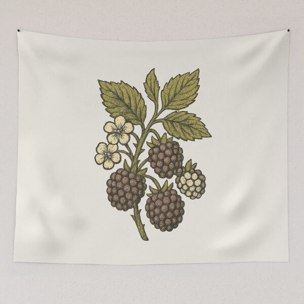 Item preview, Blackberry Cluster – Vintage Cottagecore Botanical Sticker designed and sold by HoopeStylee.