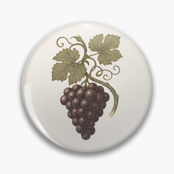 Item preview, Grape Vine – Vintage Cottagecore Botanical Sticker designed and sold by HoopeStylee.