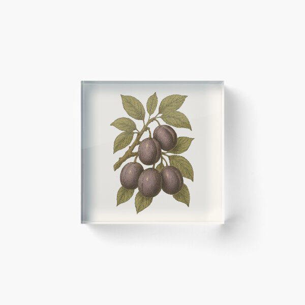 Item preview, Plum Branch – Vintage Cottagecore Botanical Sticker designed and sold by HoopeStylee.