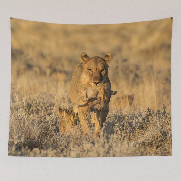 Item preview, Lioness Carrying Her Cub – Strength and Tenderness -Animal Of Africa designed and sold by DavideAntoniani.