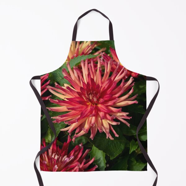 Item preview, Dahlia Labella Maggiore Fun Fire number 2 designed and sold by Jouko Lehto Photography.