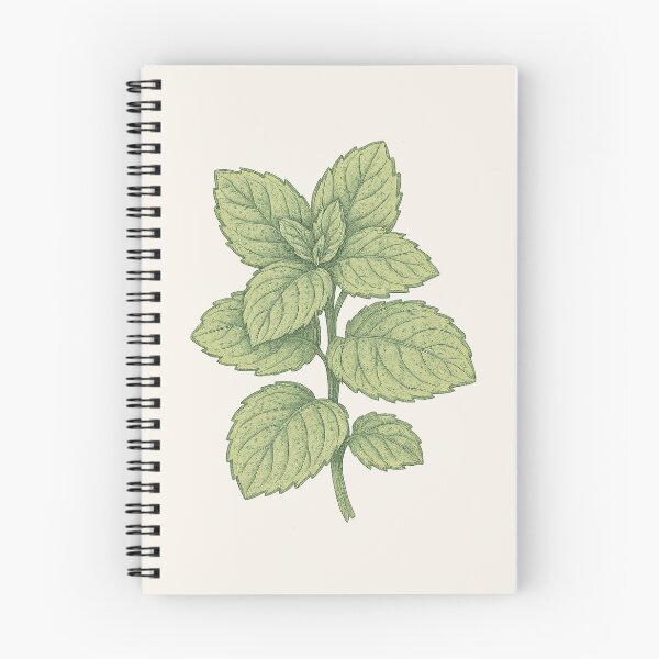 Item preview, Mint Leaves – Vintage Cottagecore Botanical Sticker designed and sold by HoopeStylee.