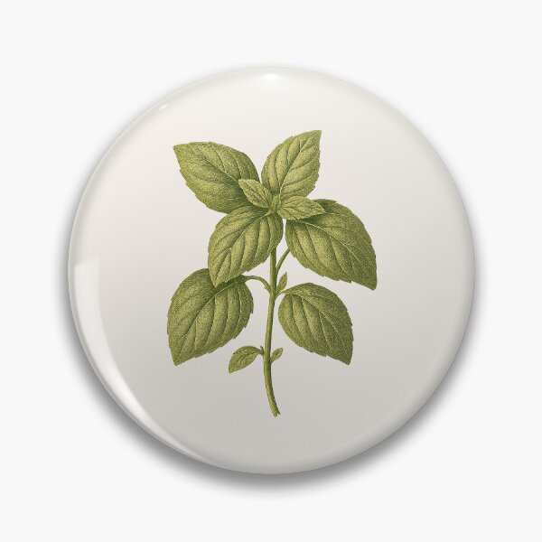 Item preview, Basil Leaves – Vintage Cottagecore Botanical Sticker designed and sold by HoopeStylee.