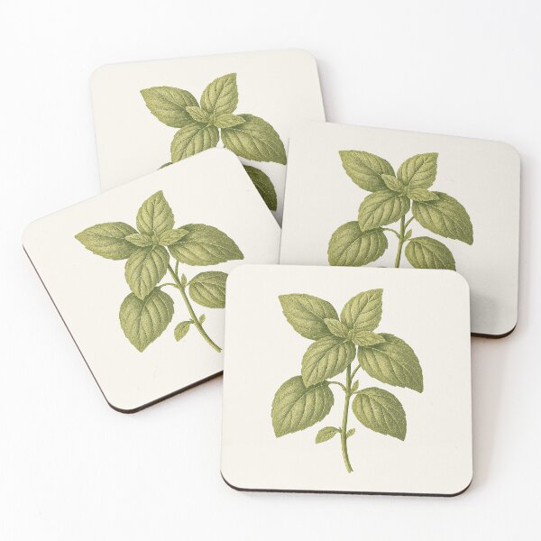 Item preview, Basil Leaves – Vintage Cottagecore Botanical Sticker designed and sold by HoopeStylee.