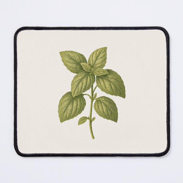 Item preview, Basil Leaves – Vintage Cottagecore Botanical Sticker designed and sold by HoopeStylee.