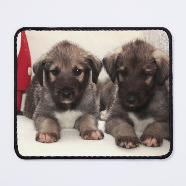 Item preview, Cute Irish Wolfhound pups designed and sold by JH2011.