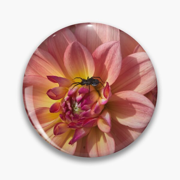 Item preview, The spider and a dahlia designed and sold by Jouko Lehto Photography.