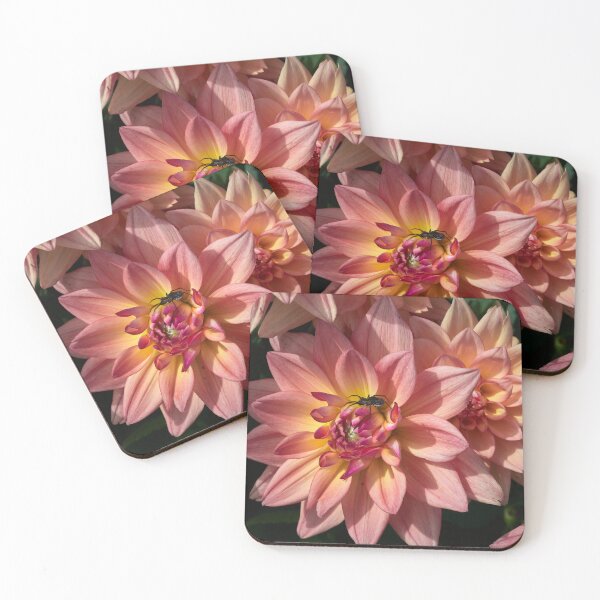 Item preview, The spider and a dahlia designed and sold by Jouko Lehto Photography.