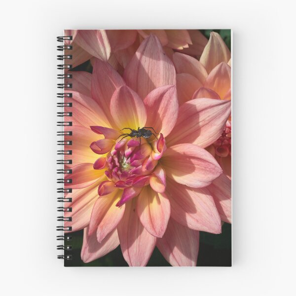 Item preview, The spider and a dahlia designed and sold by Jouko Lehto Photography.