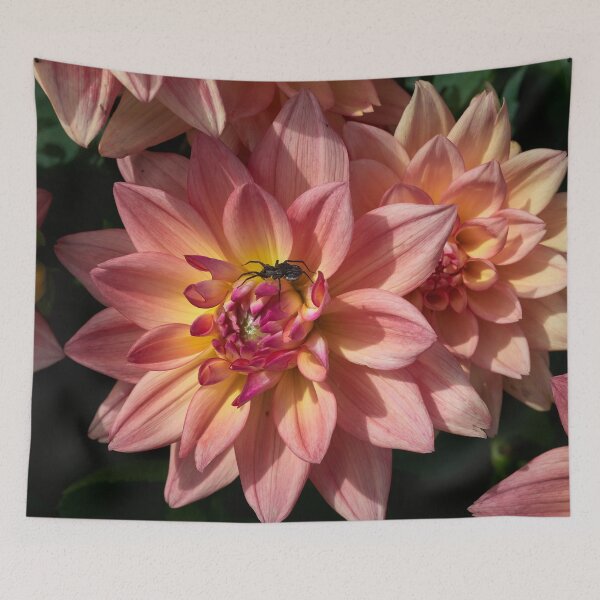 Item preview, The spider and a dahlia designed and sold by Jouko Lehto Photography.