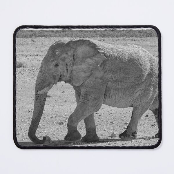 Item preview, African elephant in Etosha National Park designed and sold by Photopat.
