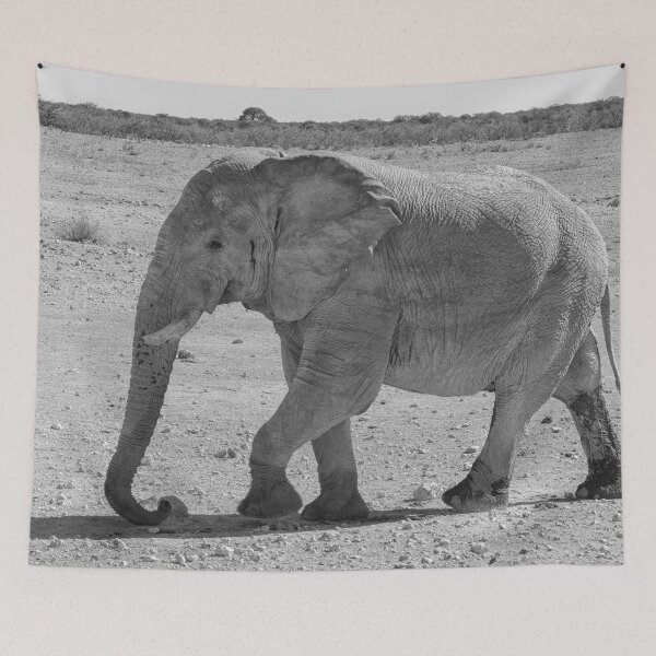 Item preview, African elephant in Etosha National Park designed and sold by Photopat.