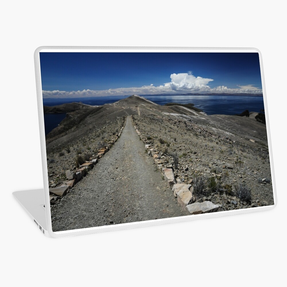 Untitled Laptop Skin