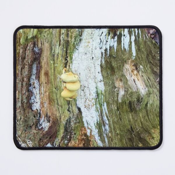 Item preview, Old trunk with mushrooms designed and sold by Robert Elfferich.