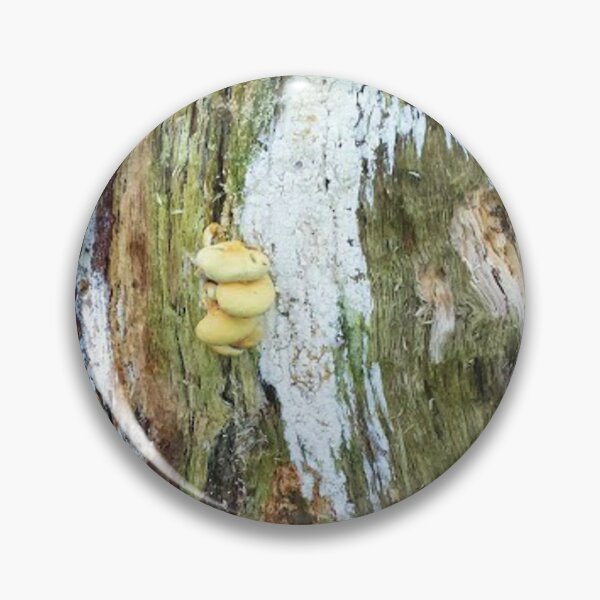 Item preview, Old trunk with mushrooms designed and sold by Robert Elfferich.