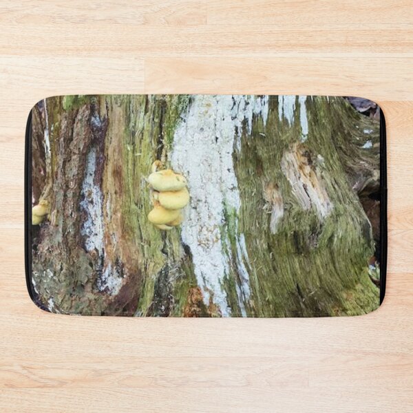 Item preview, Old trunk with mushrooms designed and sold by Robert Elfferich.