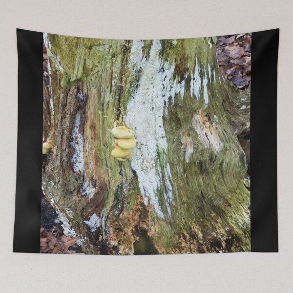 Item preview, Old trunk with mushrooms designed and sold by Robert Elfferich.
