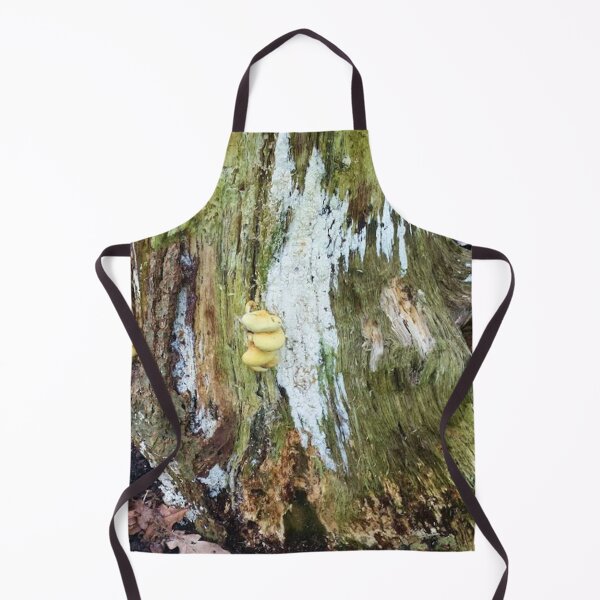 Item preview, Old trunk with mushrooms designed and sold by Robert Elfferich.
