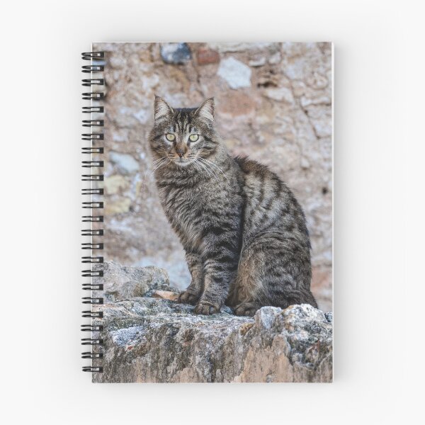 Item preview, Guardian of the Wall designed and sold by Imbeccable Images.