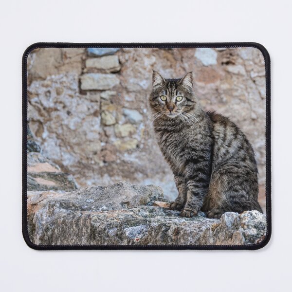 Item preview, Guardian of the Wall designed and sold by Imbeccable Images.