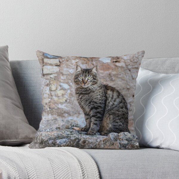 Item preview, Guardian of the Wall designed and sold by Imbeccable Images.