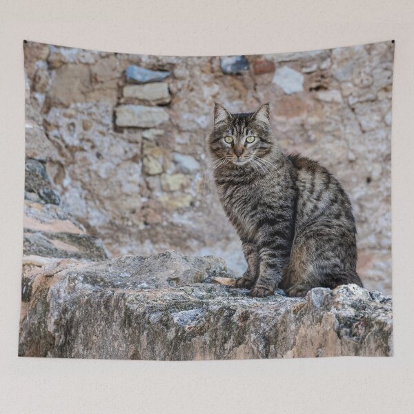 Item preview, Guardian of the Wall designed and sold by Imbeccable Images.