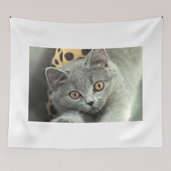 Item preview, Portrait of cute grey kitten designed and sold by olena2552.