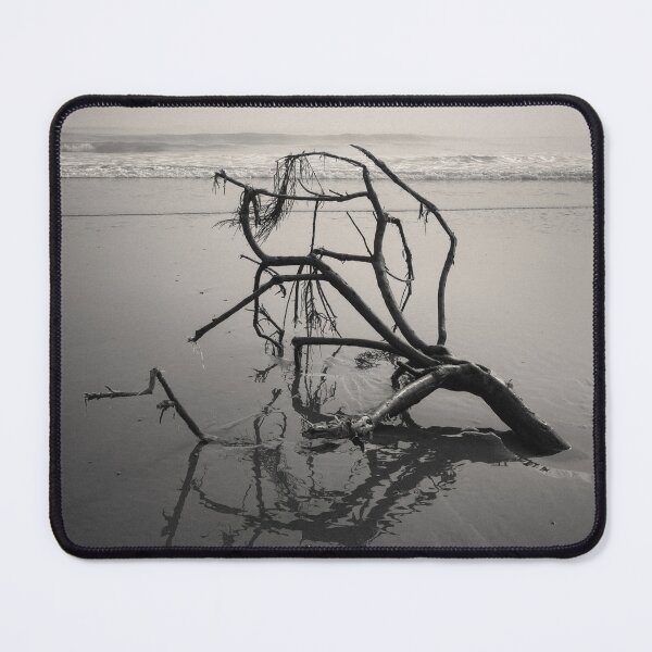 Item preview, Washed Ashore designed and sold by David Bowman.