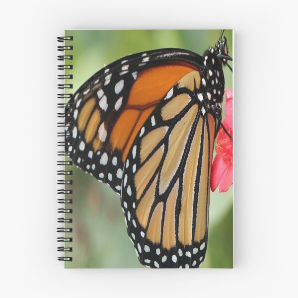Item preview, Butterfly bordered in black and white dots designed and sold by HoLabel-Rouge.