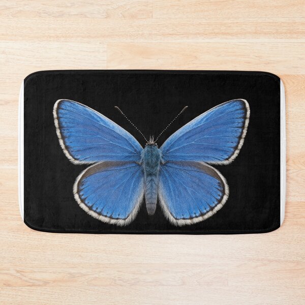 Item preview, Common blue butterfly. designed and sold by moths-minor.