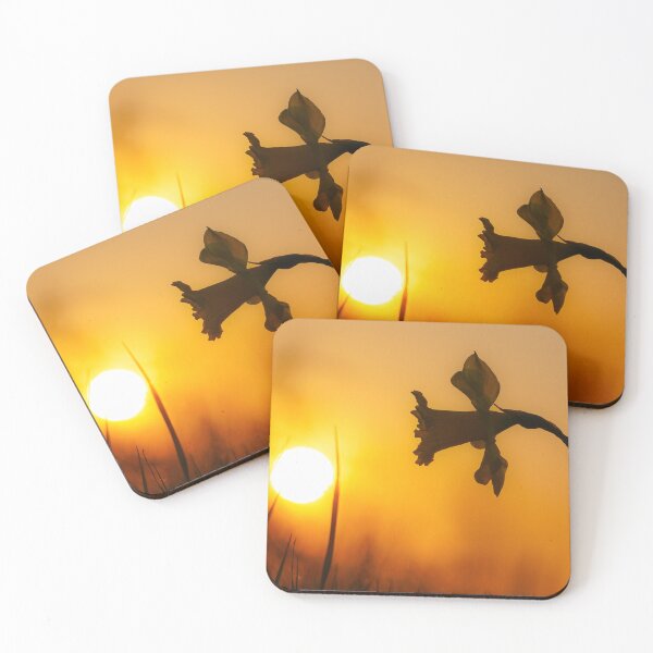 Item preview, Flirt between flower and sun designed and sold by edu-perspektive.