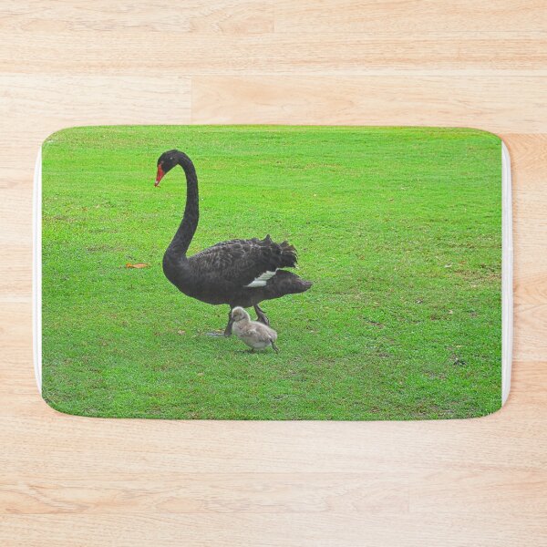 Item preview, Black Swan with Cygnets  designed and sold by LisaWootenPhoto.