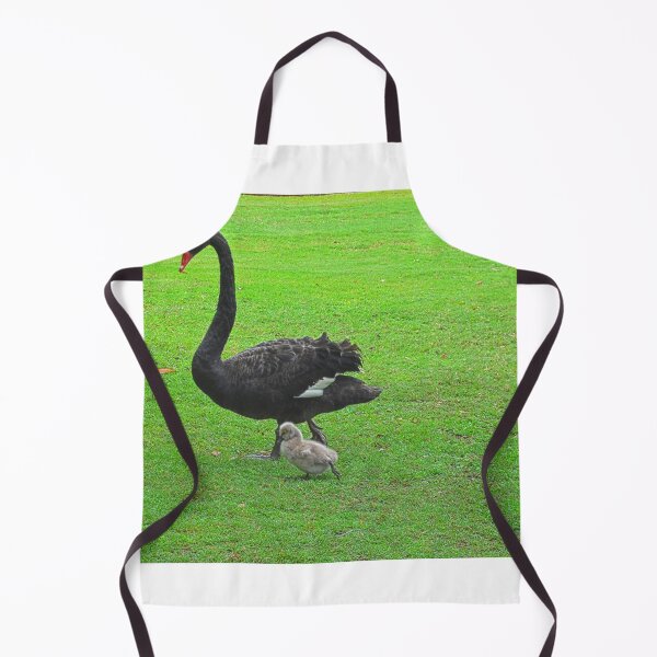 Item preview, Black Swan with Cygnets designed and sold by LisaWootenPhoto.