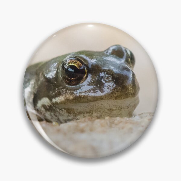 Item preview, Common Frog designed and sold by LaurenTucker.