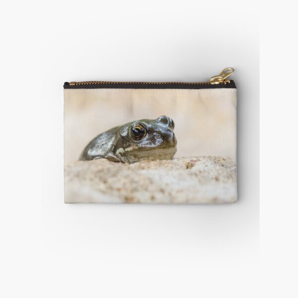 Item preview, Common Frog designed and sold by LaurenTucker.
