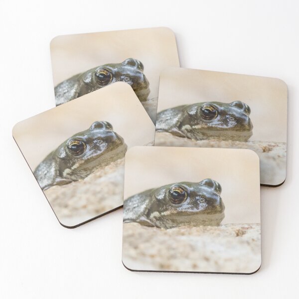 Item preview, Common Frog designed and sold by LaurenTucker.