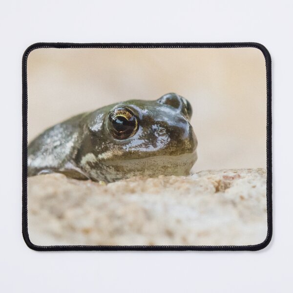 Item preview, Common Frog designed and sold by LaurenTucker.