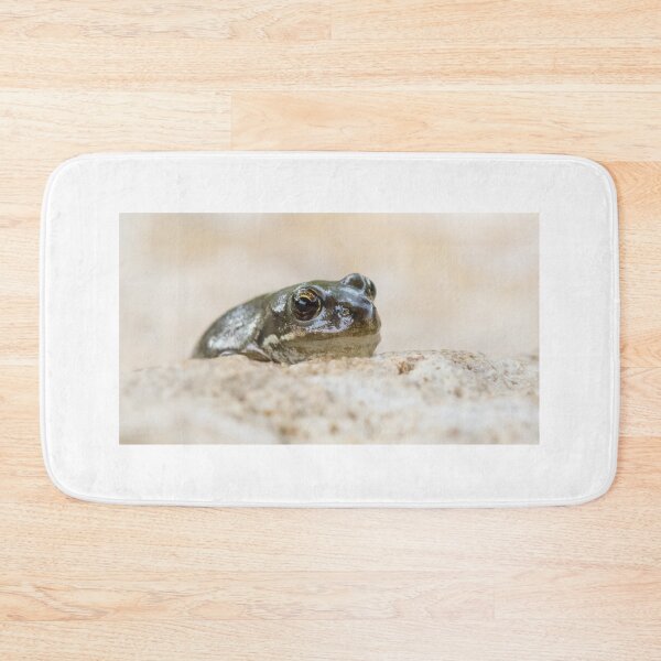 Item preview, Common Frog designed and sold by LaurenTucker.