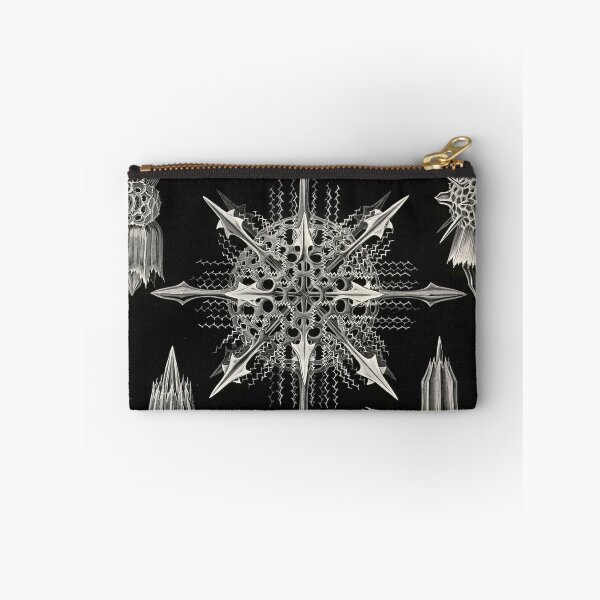Item preview, Acanthophracta (Radiolaria) - Ernst Haeckel designed and sold by science4all.