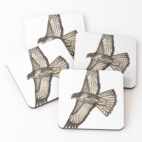 Item preview, Common buzzard designed and sold by izabelladasilva.