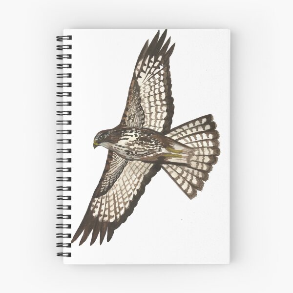 Item preview, Common buzzard designed and sold by izabelladasilva.