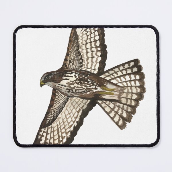 Item preview, Common buzzard designed and sold by izabelladasilva.